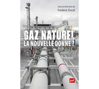 Gaz naturel, la nouvelle donne ?
