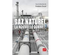 Gaz naturel, la nouvelle donne ? Frédéric Encel (Edité par), François Lafargue (Auteur), Raphaël H. Boroumand (Auteur), Stephan Sylvestre (Auteur), Thomas Porcher (Auteur), Stéphane Goutte (Auteur)
