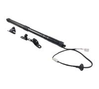 Gaz Powerlift Vérin Coffre Pour Toyota Pour Rav4 2013-2018 6891009010 6892009016 Hayon Arrière Hayon Électrique Support De Levage Ouvre-hayon Électrique Vérins À Gaz(L)