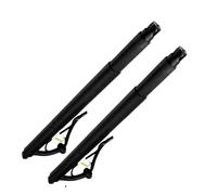 Gaz Powerlift Vérin Coffre Vérins De Hayon Électriques 51247318651 Et 51247318652 Pour BMW X6 F16 2015-2019, Support De Levage De Hayon Électrique, Amortisseur D'ouverture(Pair)