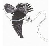 Gaza - He is Never Coming Back [Import]