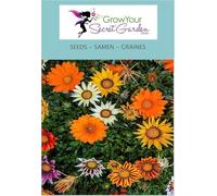 Gazania mix - Une belle touche colorée pour votre jardin