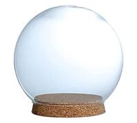 Gazechimp 3xVerre Cloche Cloche Cloche Vase de Conservation de Fleurs avec Base En Bois 15cm