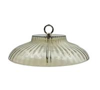 Gazechimp Baffle pour Mangeoire Oiseau Bouclier de Pluie Étanche pour Abri Suspendu Anti-Rongeur PP Acier Convient Jardin Véranda Balcon, Clair