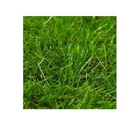 Gazon artificiel 1x10 m/40 mm Vert