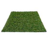 Gazon artificiel NAOMI - Hauteur totale : 20 mm - Dimensions : 2 x 5 m (10 m²).