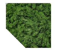 Gazon Artificiel Plantes vertes artificielles mousse herbe Mini paysage bricolage artisanat vie fausse herbe for jardin maison hôtel décoration 500/1000/100g(Green,1000g)