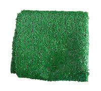 Gazon artificiel pour animal domestique 1 x 2 m