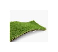 Gazon Artificiel Synthetique Decoration E elgreen Campus 25mm 1m 5m