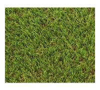 Gazon Artificiel Synthetique Decoration EXELGREEN 124414 Natura 2D 38mm 1 5 m https://www.fnac.com/mp50416171/Gazon-Artificiel-Synthetique-Decoration-EXELGREEN-124414-Natura-2D-38mm-1-5-m/w-4?oref=4f74d34f-a853-28f0-714b-7d8effc9de6b
