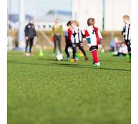 Gazon Artificiel Werkapro, Épaisseur 1 Cm 1 X 10 M Soit 10m2