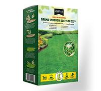 Gazon CYNODON DACTYLON