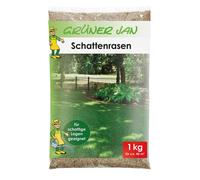 Gazon d'ombre 1kg Graines de gazon Graines de gazon Graines de gazon Jardin Prairie