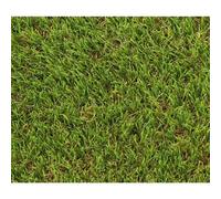 Gazon - EXELGREEN - 124414 - Natura 2D - 38mm / 1 x 5 m