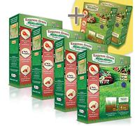 Gazon Express Professionnel - Fiable, résistant froid et chaleur - Germination ultra rapide et dense (10 jours) - Tout type de climat (4 + 2 offertes 300M²)