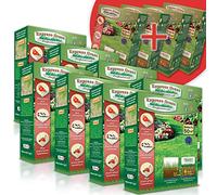 Gazon Express Professionnel - Fiable, résistant froid et chaleur - Germination ultra rapide et dense (10 jours) - Tout type de climat (8 + 4 offertes 600M²)
