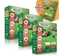 Gazon Express Professionnel - Fiable, résistant froid et chaleur - Germination ultra rapide et dense (10 jours) - Tout type de climat (3 + 1 offerte 200M²)