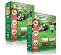 Gazon Express Professionnel - Fiable, résistant froid et chaleur - Germination ultra rapide et dense (10 jours) - Tout type de climat (2 boîtes 100M²)