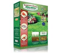 Gazon Express Professionnel - Fiable, résistant froid et chaleur - Germination ultra rapide et dense (10 jours) - Tout type de climat (1 boîte 50M²)