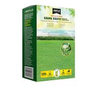 Gazon KIKUYU