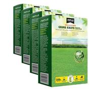 Gazon KIKUYU (Lot de 4)