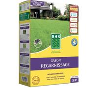 Gazon Regarnissage Terrain Sec - BHS - 1kg | 40 m² | Résistant et durable, avec excellente pérennité et tolérance aux piétinements.