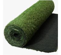 Werkapro Gazon synthétique WERKA PRO épaisseur 2 cm 1 x 10 m (10 m²) Vert