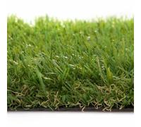 Gazon Synthétique 20mm, Pelouse Artificielle Réaliste, Résistant aux UV, Adapté aux Animaux, Perméable à l'eau, Largeurs 1-4m(3m x 2m)