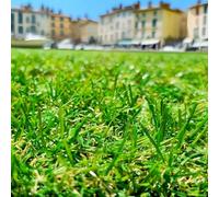 Gazon Synthétique 22mm en 2m de large (2m de large x 10m de long)
