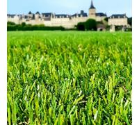 Gazon Synthétique 35mm : 2m de large x 9m de long soit 18M² RÉSISTANT & ULTRA DENSE ! UNE SOLUTION OPTIMALE POUR VOTRE JARDIN !