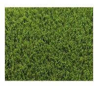 Gazon synthétique - EXELGREEN - 123103 - Park 40 mm - 1 x 5m