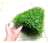 Gazon Synthetique Exterieur,Gazon Artificiel 4 PCS Green Artificial Grass Creative Micro Paysage Faux Pelouse Simulation Miniature Ornement Aquarium Décoration 25x25cm