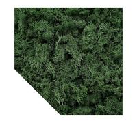 Gazon Synthetique Exterieur Plantes vertes artificielles mousse herbe Mini paysage bricolage artisanat vie fausse herbe for jardin maison hôtel décoration 500/1000/100g(Dark green,1000g)