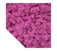 Gazon Synthetique Exterieur Plantes vertes artificielles mousse herbe Mini paysage bricolage artisanat vie fausse herbe for jardin maison hôtel décoration 500/1000/100g(Purple pink,1000g)