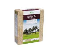 Gazon Terrain Sec