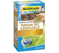 Algoflash Semence de gazon SEMSOL1 – pour terrain sec et ensoleillé – 1 kg, bleu