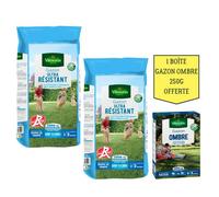 Gazon - Vilmorin - Gazon Ultra Résistant Label Rouge - 5 kg (x2) + Gazon Ombre Offert - 250 g