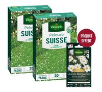 Gazon - Vilmorin - Pelouse Suisse - Paquerettes (x2) + Grande Marguerite Perle des Prés - Graines d' Exception Offerte
