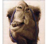 Gazze' Max - Max Gazze'