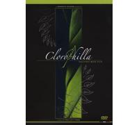 Gb Dd 2.0 - Clorophilla - Mountainbike [Import allemand]