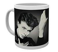 GB eye David Bowie Mug Heroes