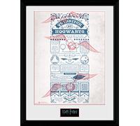 GB Eye, Harry Potter, Quidditch at Hogwarts, Photographie encadrée 40 x 30 cm