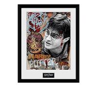 GB Eye LTD, Harry Potter, Harry Potter, Photographie encadrée 30 x 40 cm