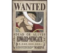 GB eye - ONE PIECE Poster Wanted Whitebeard (91,5 x 61 cm)