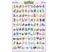GB Eye - POKEMON Poster Sinnoh Pokémon Français (91,5 x 61 cm)