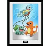 GB Eye – Tirage encadré – POKEMON Starters Kanto