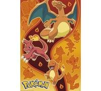 GB eye Affiche Pokémon Type Feu – Produit officiel – 91,5 x 61 cm – ABYstyle