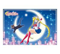 GB eye - SAILOR MOON Poster Sailor Moon & Luna (91.5 x 61 cm)