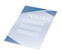 Gbc Peel'n Stick - 125 Microns Pack De 100 - Blanc Mat - A3 (297 X 420 Mm) Pochettes Plastifiées