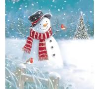 GBCC Cartes de Noël caritatives - Lot de 10 - Cartes de Noël caritatives avec design de bonhomme de neige et de rouge-gorge - Paquet de cartes de Noël écologiques avec enveloppes